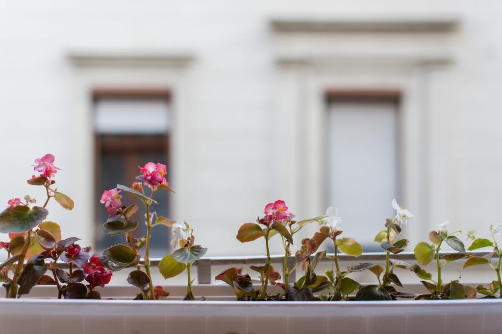 Downtown Synagogue Apartment Budapest Exterior photo
